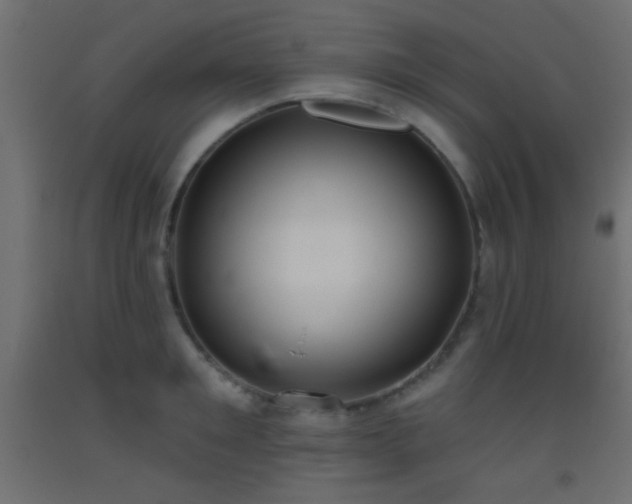 X0000093520901200710121542