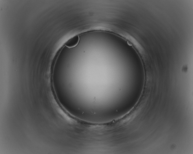 X0000093520902200710121542