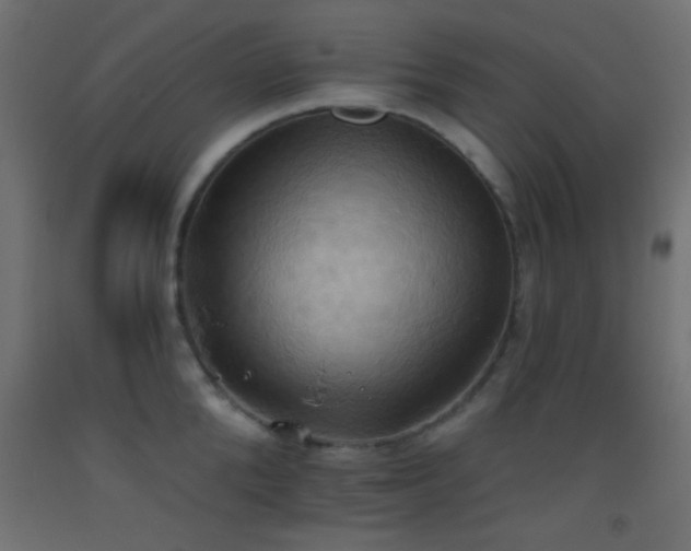 X0000093520904200710121542