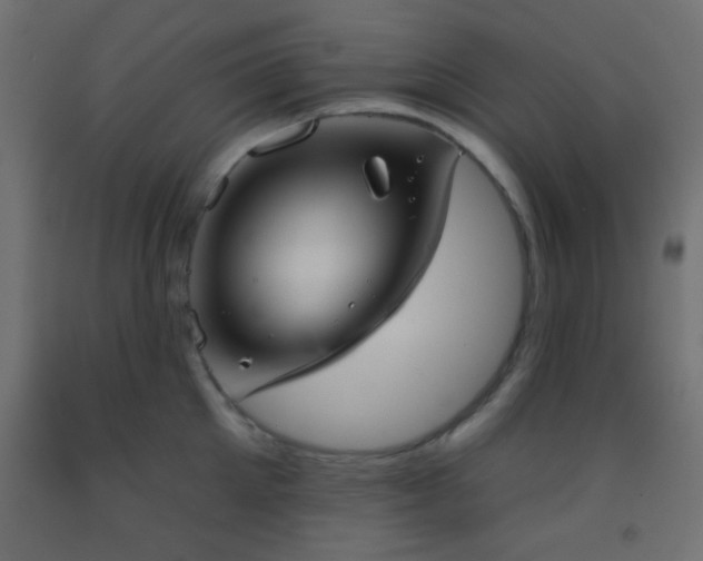 X0000093520905200710121542