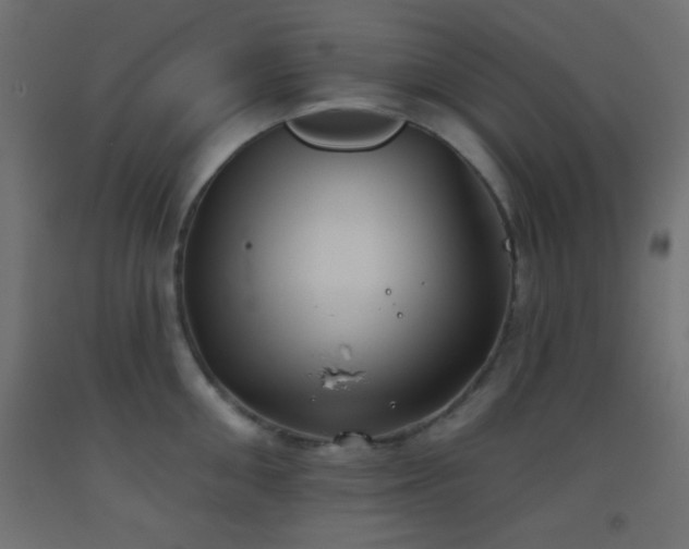 X0000093520906200710121542