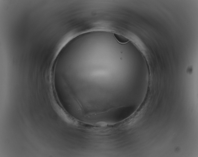 X0000093520907200710121542