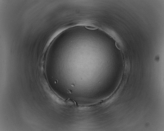 X0000093520908200710121542