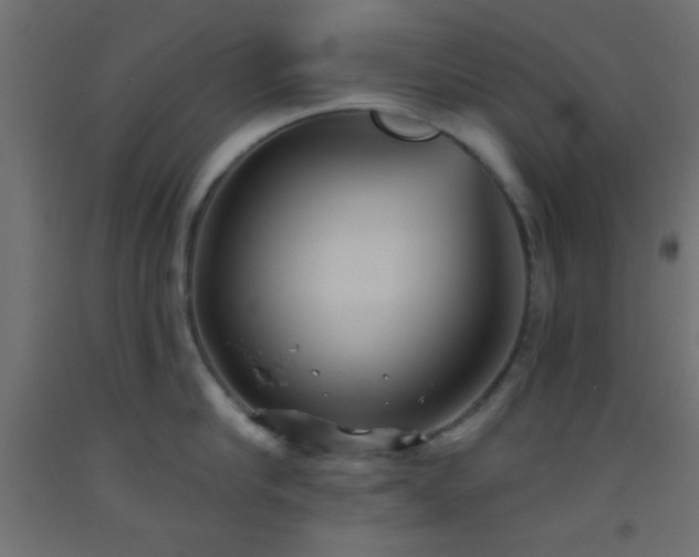 X0000093520910200710121542