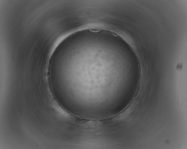 X0000093520912200710121542