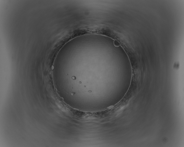 X0000093520913200710121542