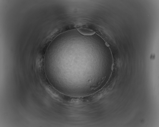 X0000093520914200710121542