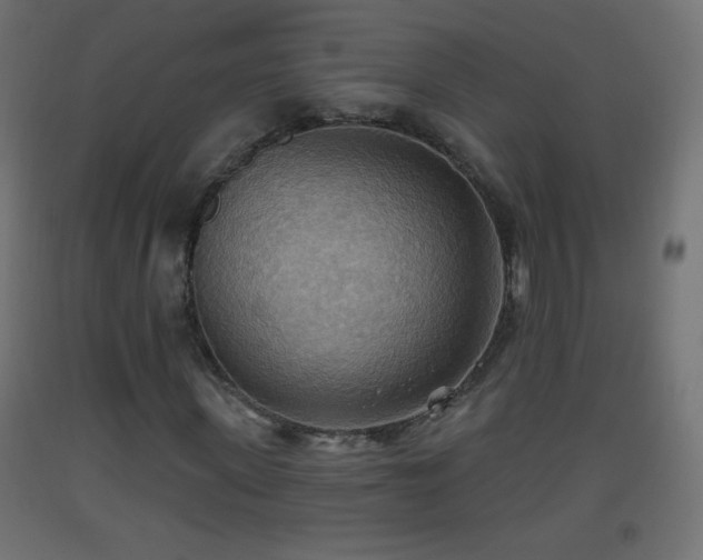 X0000093520915200710121542