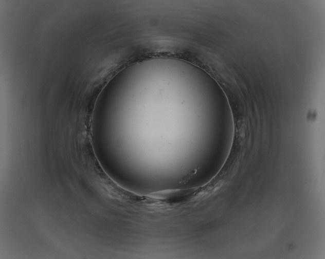 X0000093520916200710121542