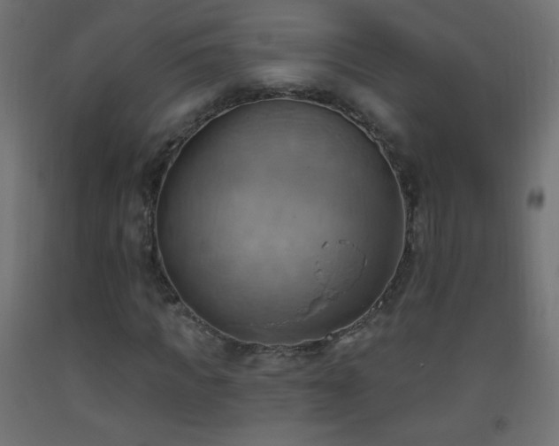 X0000093520917200710121542