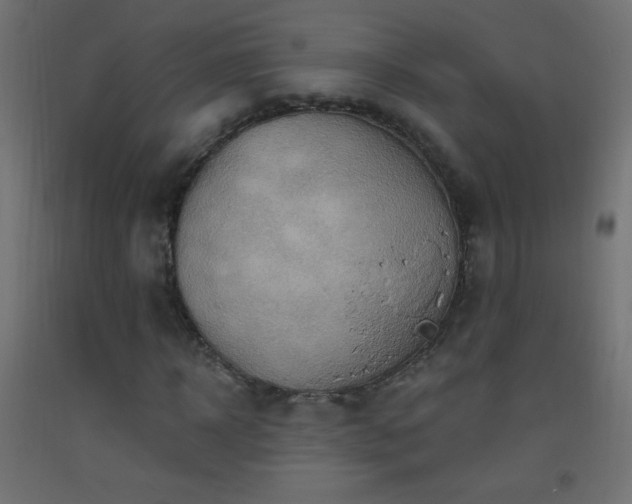 X0000093520918200710121542