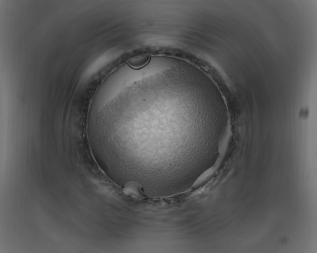 X0000093520919200710121542