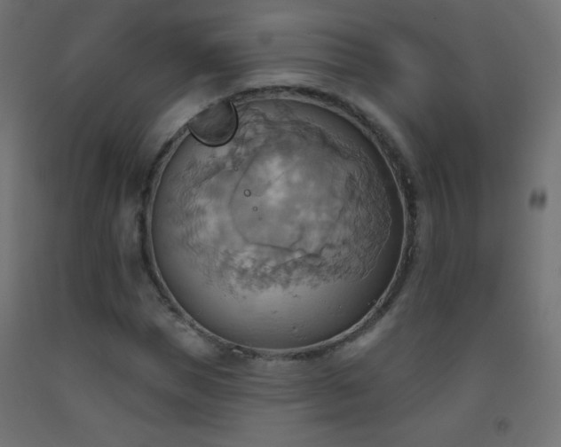 X0000093520921200710121542