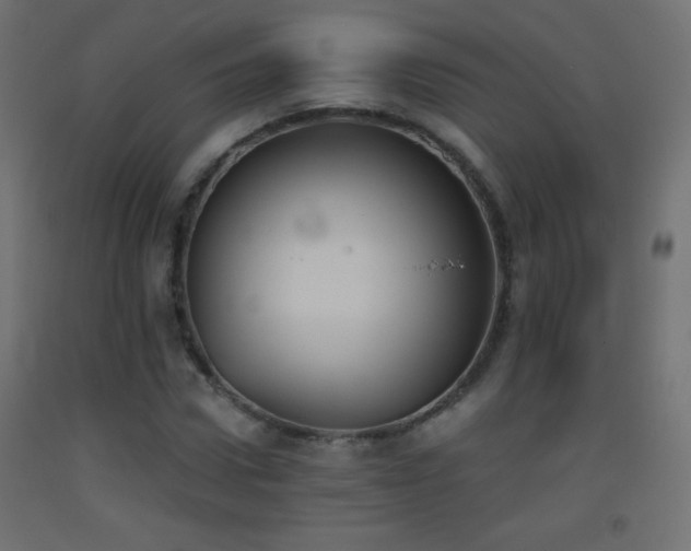 X0000093520922200710121542