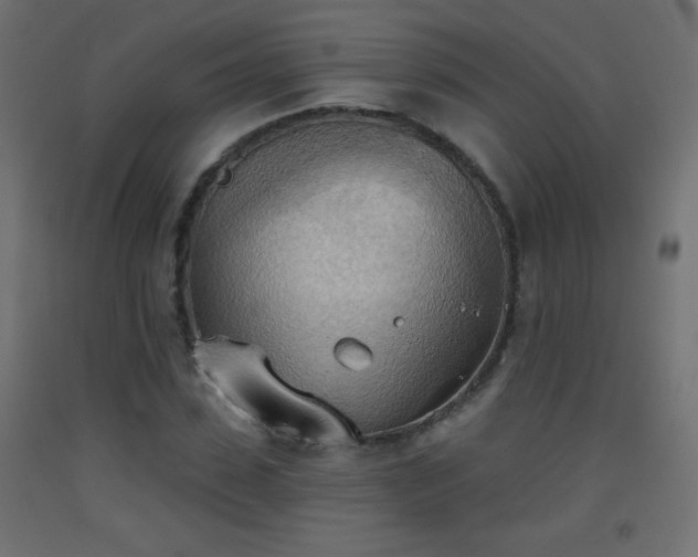 X0000093520923200710121542