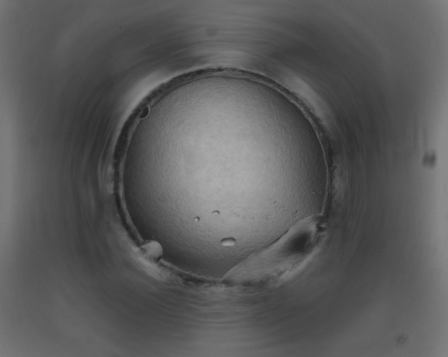 X0000093520924200710121542
