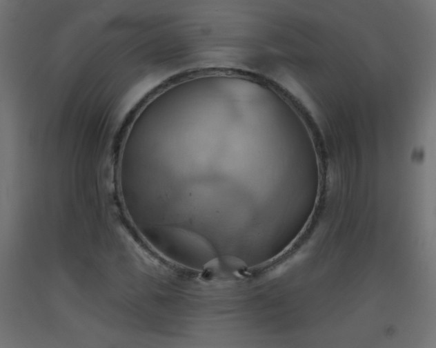 X0000093520925200710121542