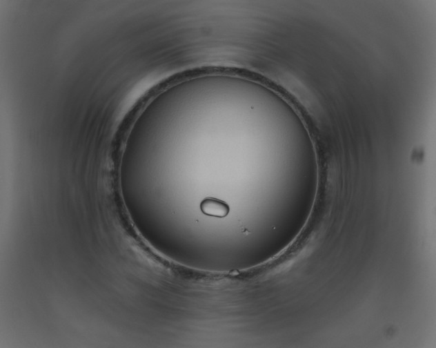 X0000093520926200710121542