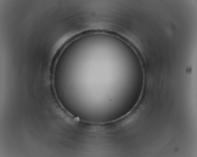 X0000093520927200710121542