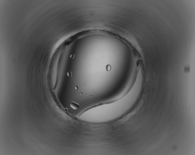 X0000093520928200710121542