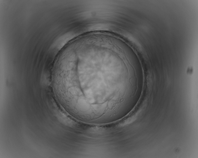 X0000093520929200710121542