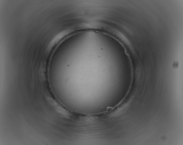 X0000093520930200710121542