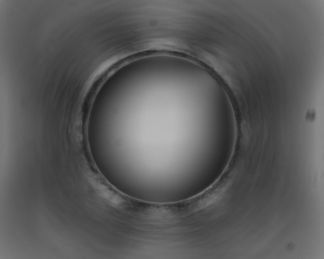 X0000093520931200710121542