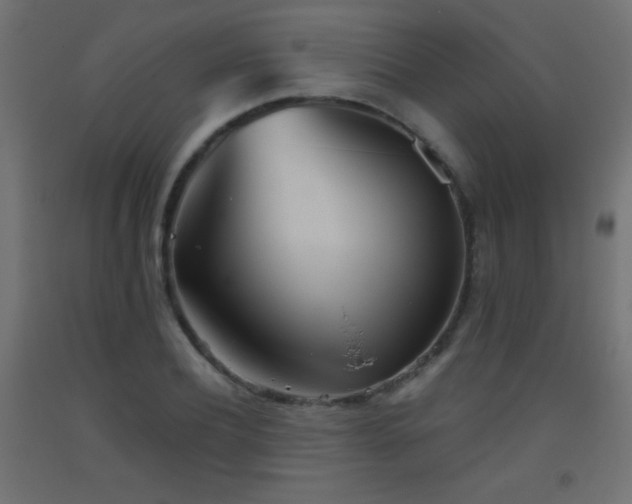 X0000093520932200710121542