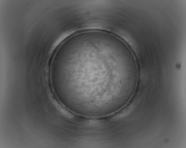 X0000093520933200710121542