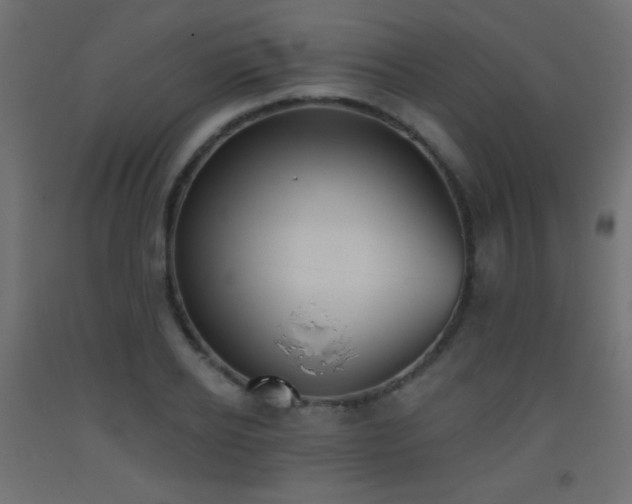 X0000093520934200710121542