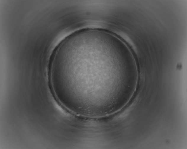 X0000093520935200710121542