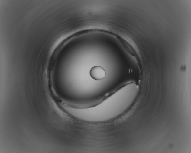 X0000093520936200710121542