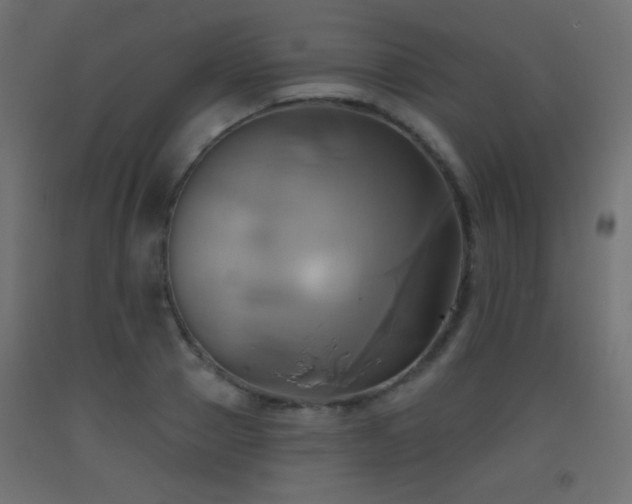 X0000093520937200710121542