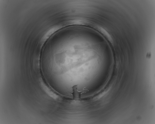 X0000093520938200710121542