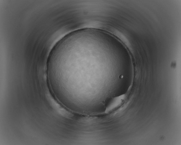 X0000093520939200710121542