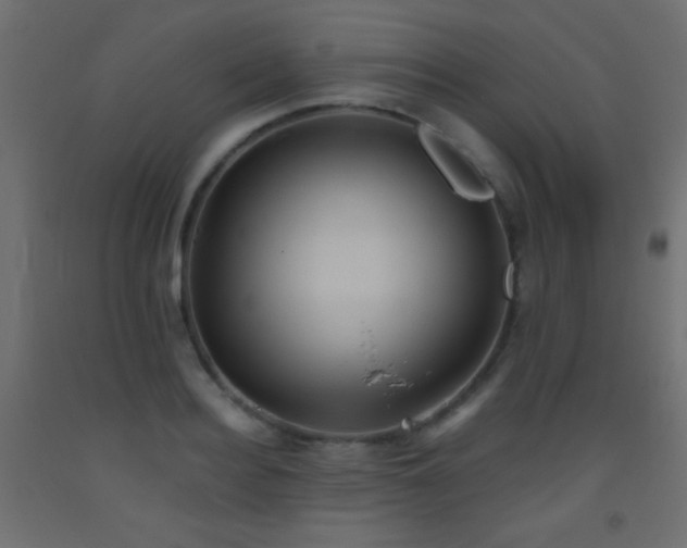 X0000093520940200710121542