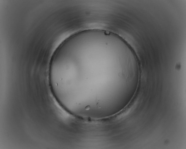 X0000093520941200710121542