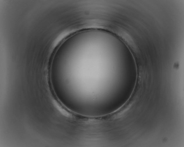 X0000093520942200710121542