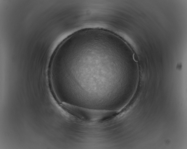 X0000093520943200710121542