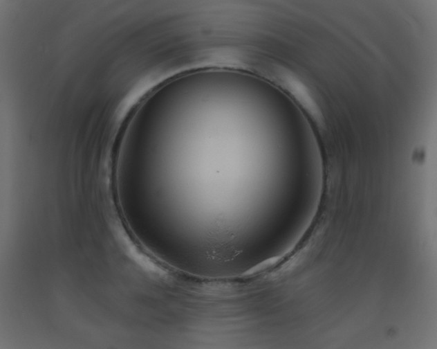 X0000093520944200710121542