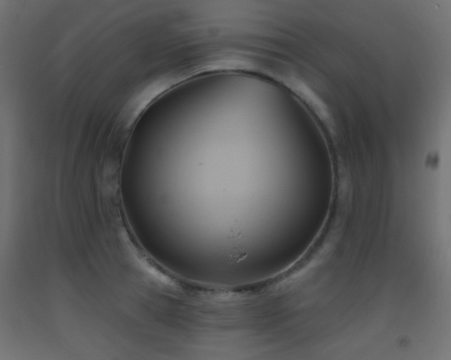 X0000093520945200710121542