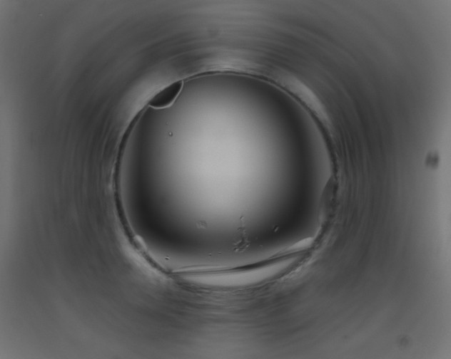 X0000093520946200710121542