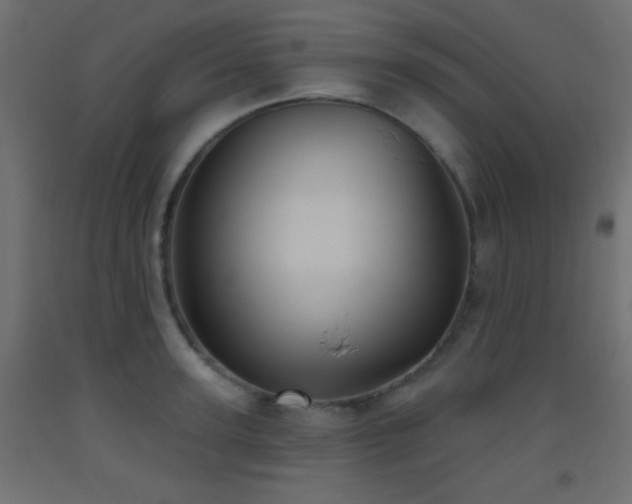 X0000093520947200710121542