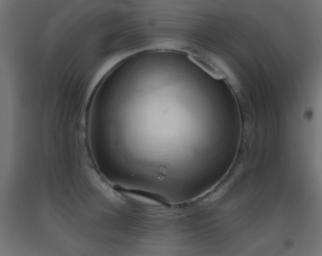 X0000093520948200710121542