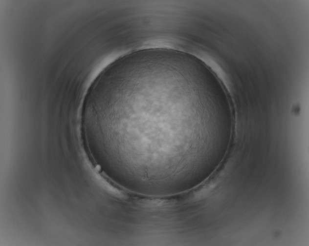 X0000093520949200710121542