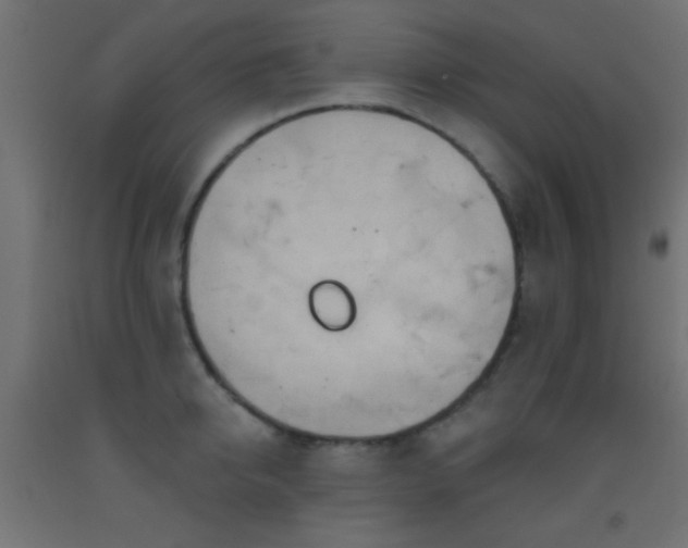X0000093520950200710121542