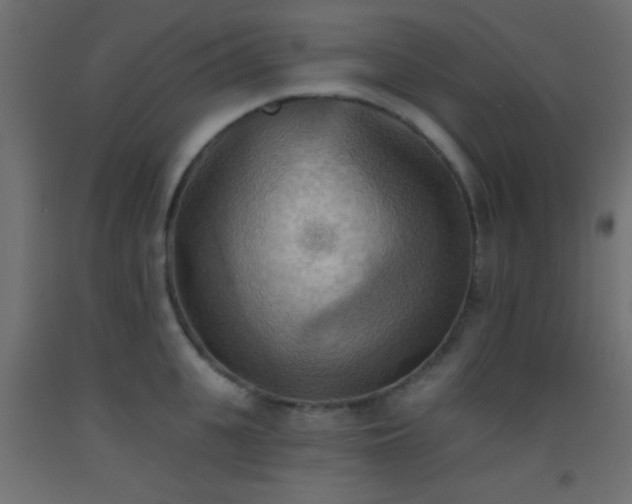 X0000093520951200710121542
