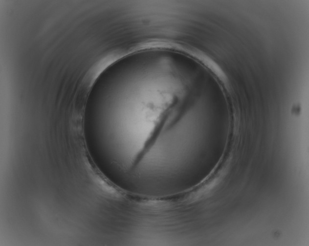 X0000093520953200710121542