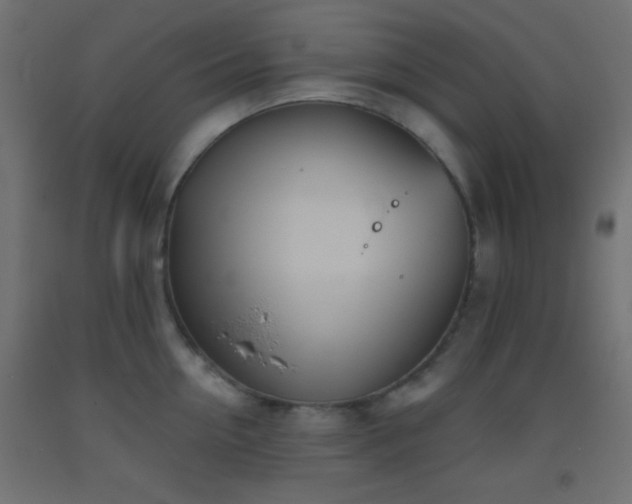 X0000093520954200710121542