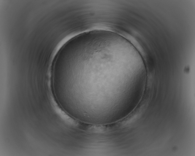 X0000093520955200710121542